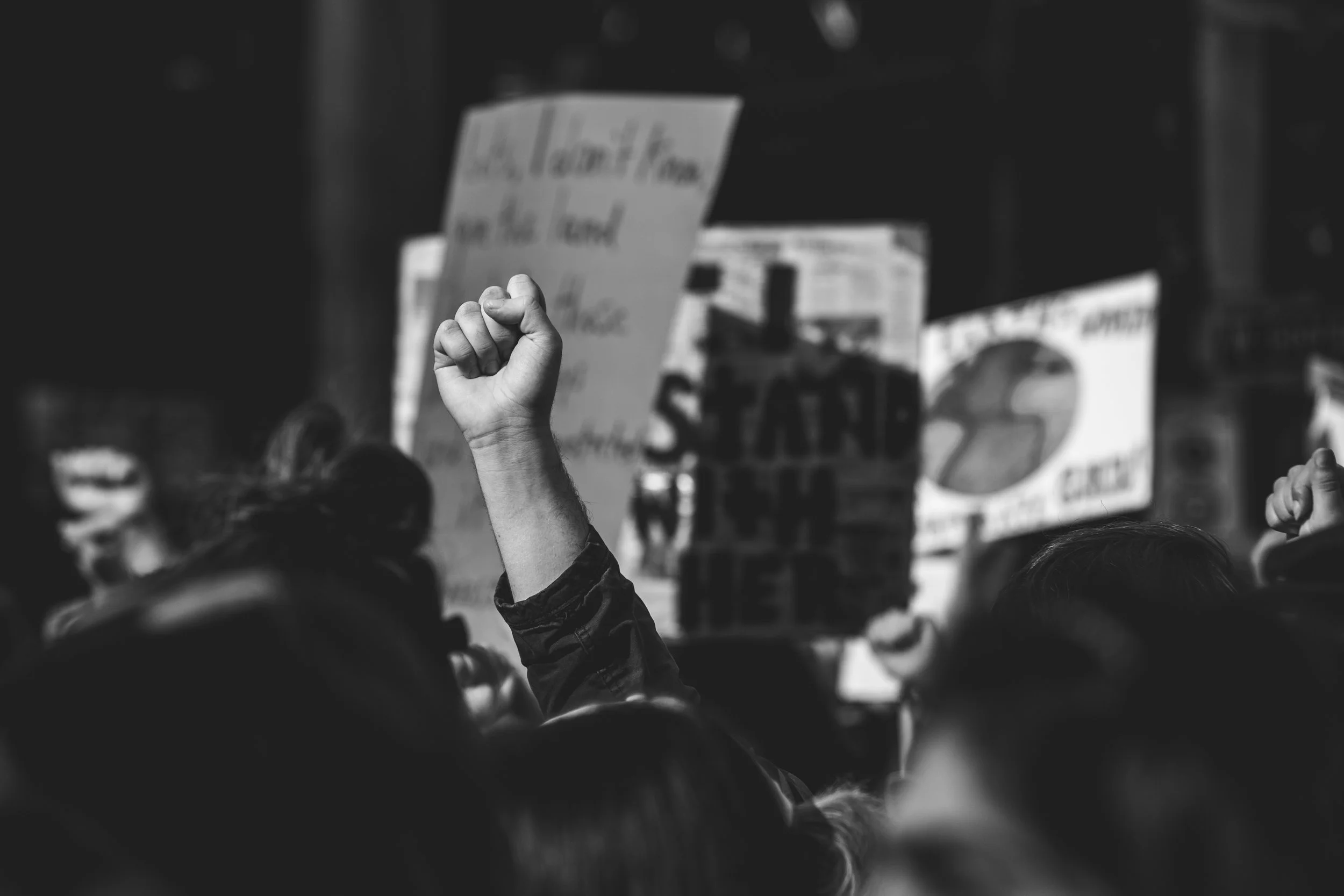 climatestrike-2019-36.jpg