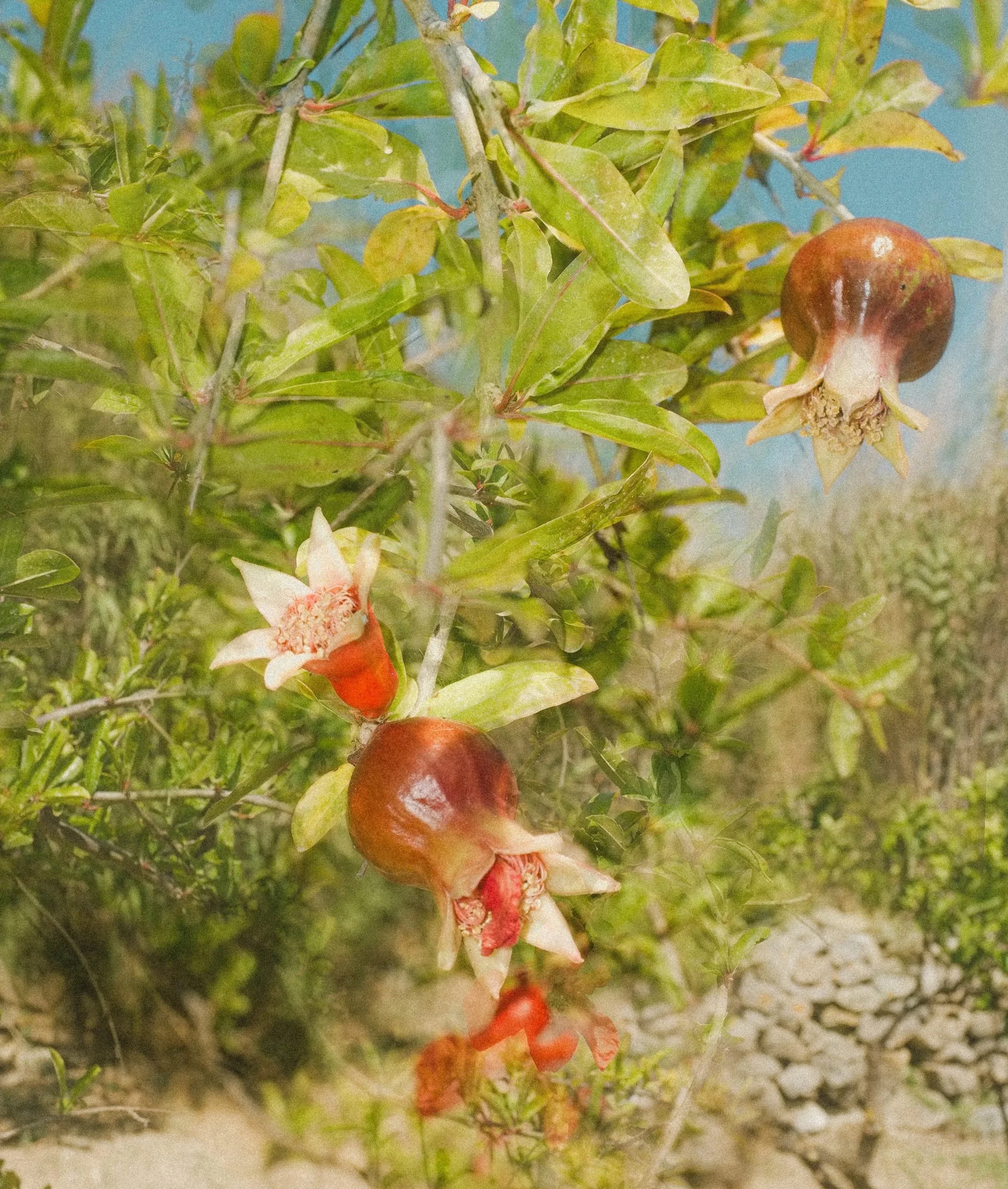 Retail Project - 2025