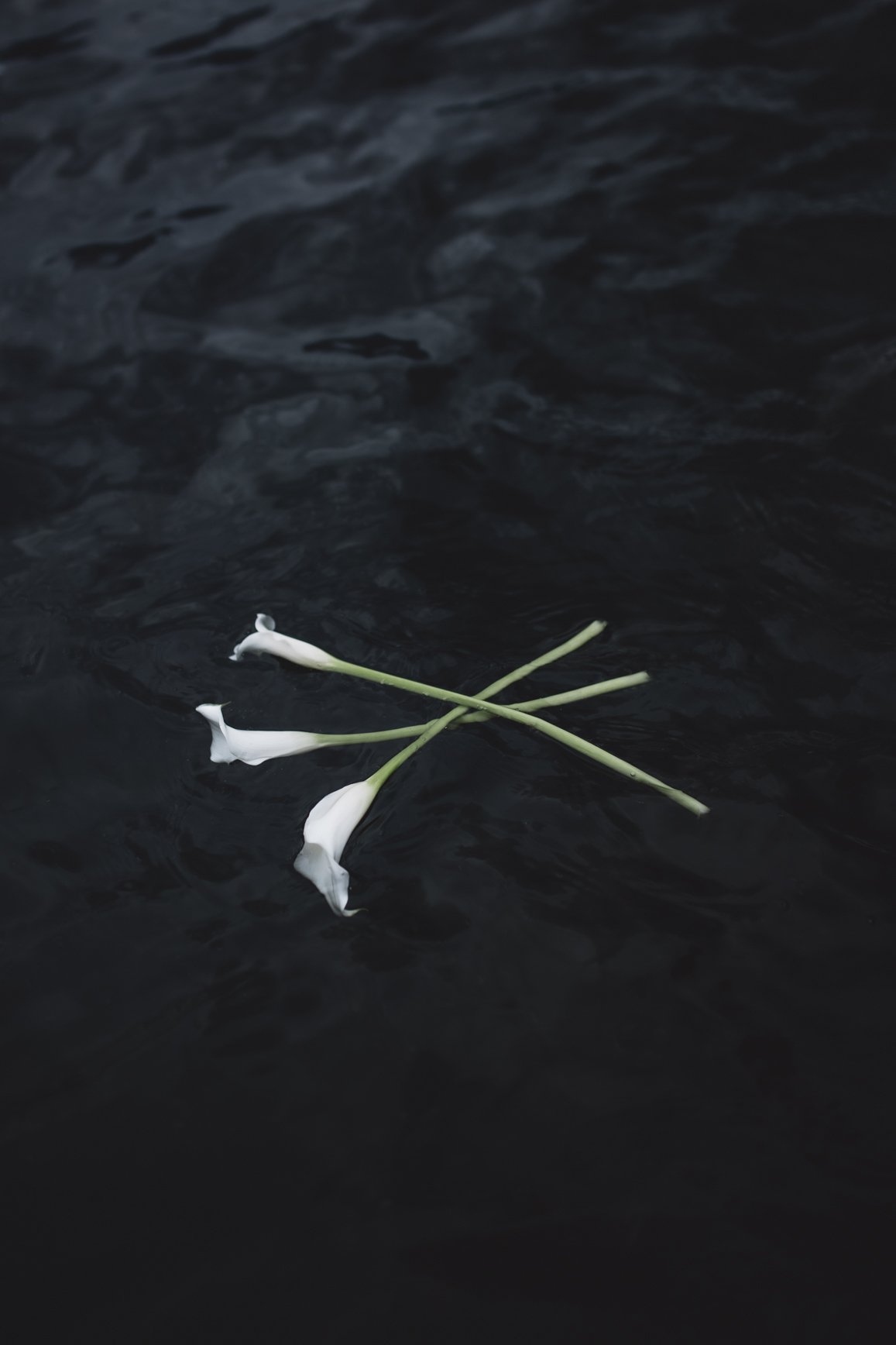 IMG_1906.jpeg