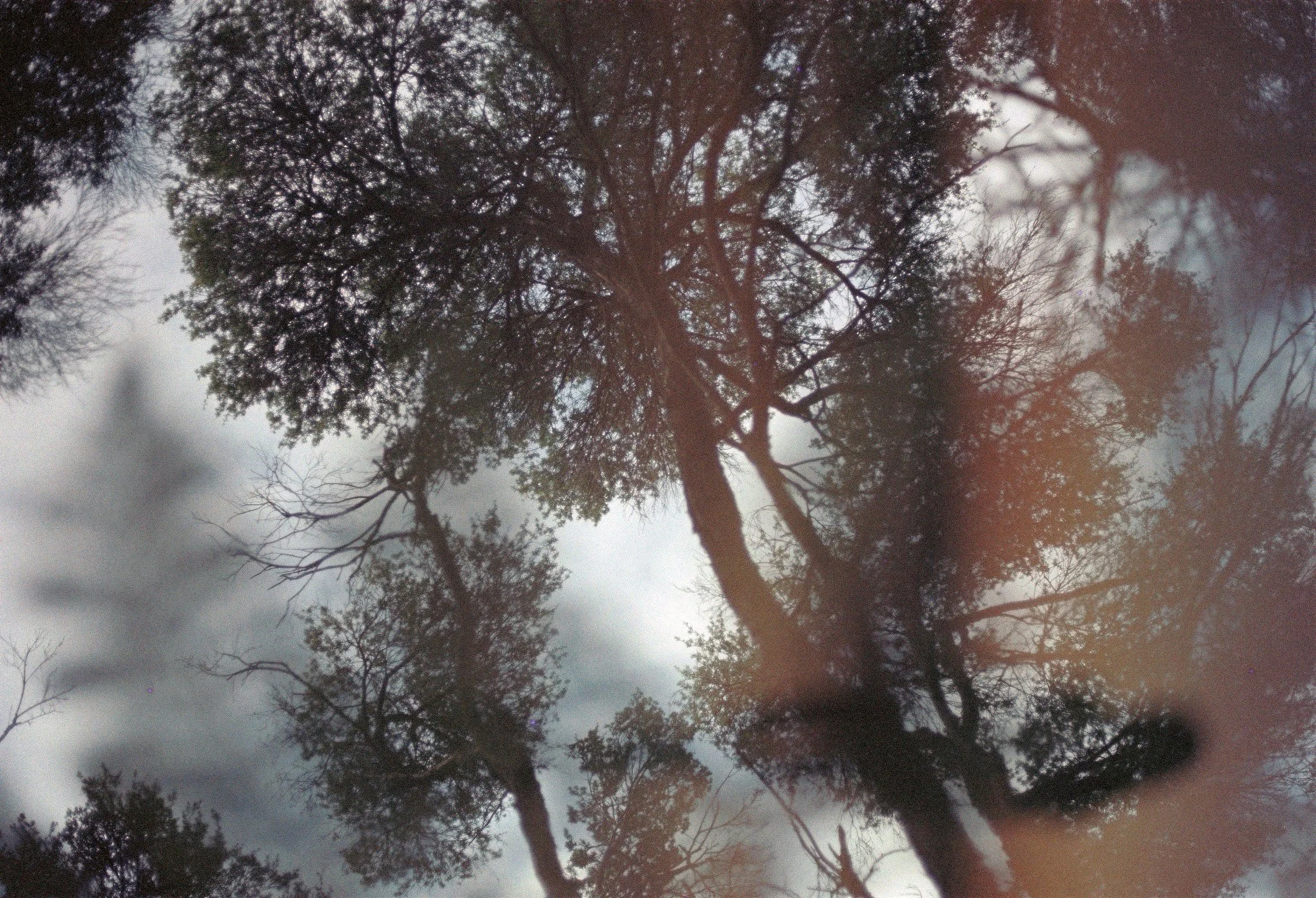 C069987-R1-09-10 copy.JPG