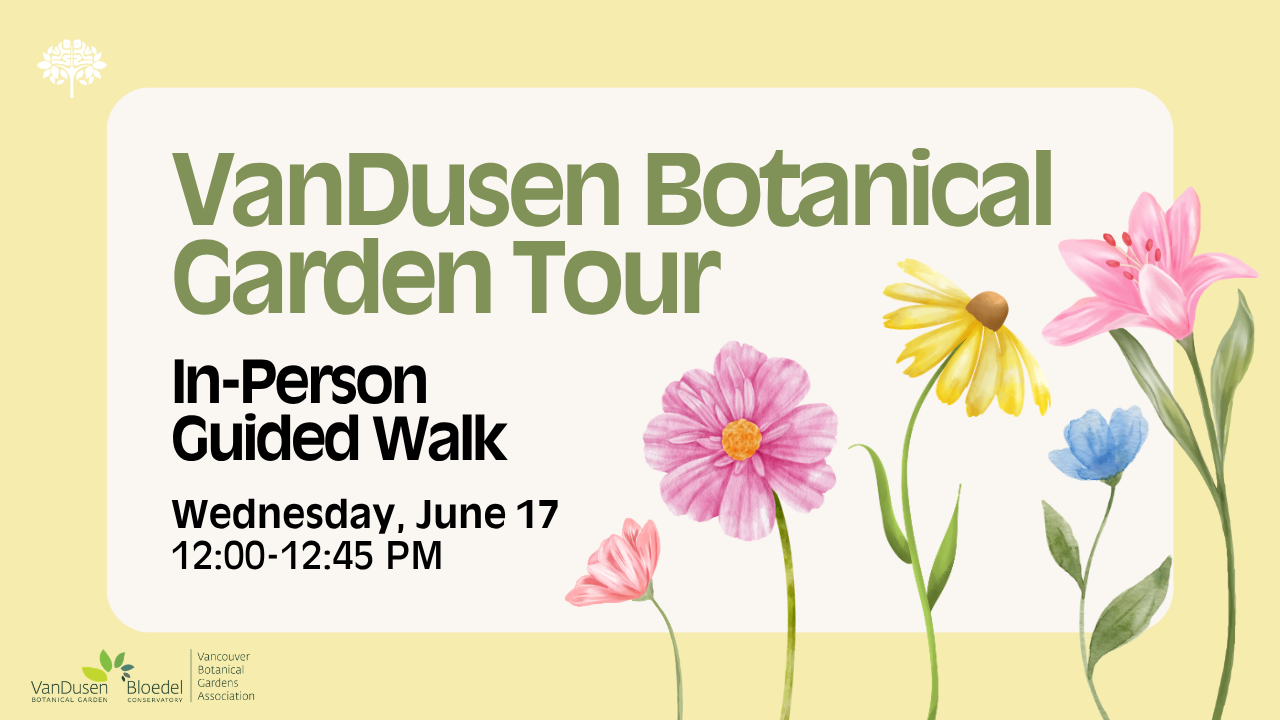 VanDusen Botanical Garden – Guided Tour
