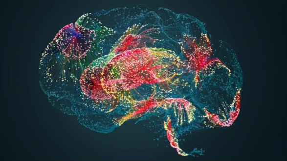 How to Trigger the Protein That Makes Your Brain Grow