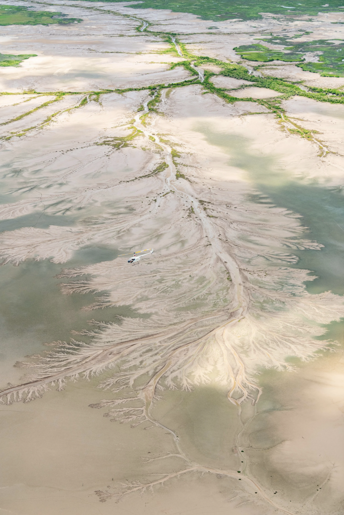 North Horizon Heli Adventures