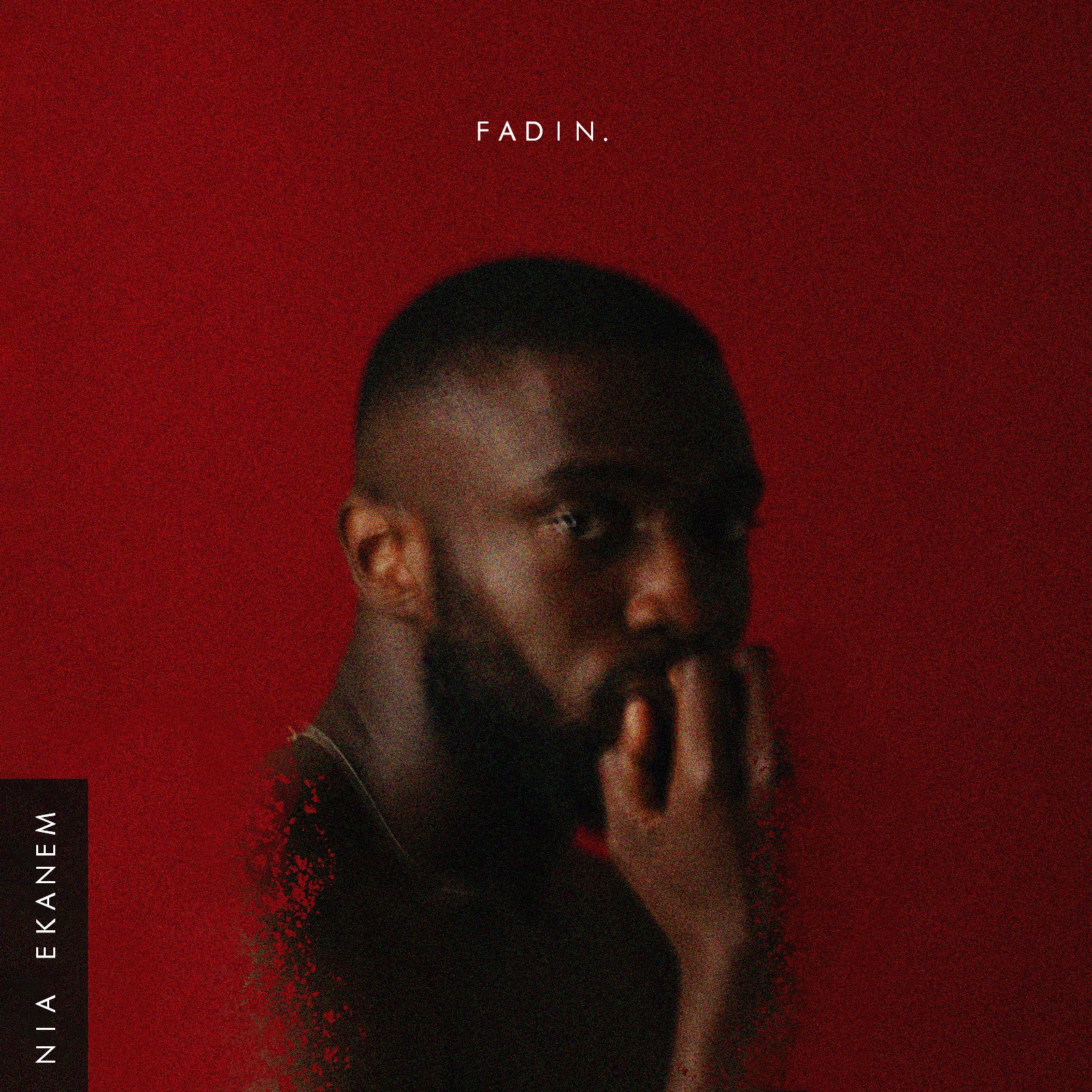 Nia Ekanem - Fadin 3.jpg