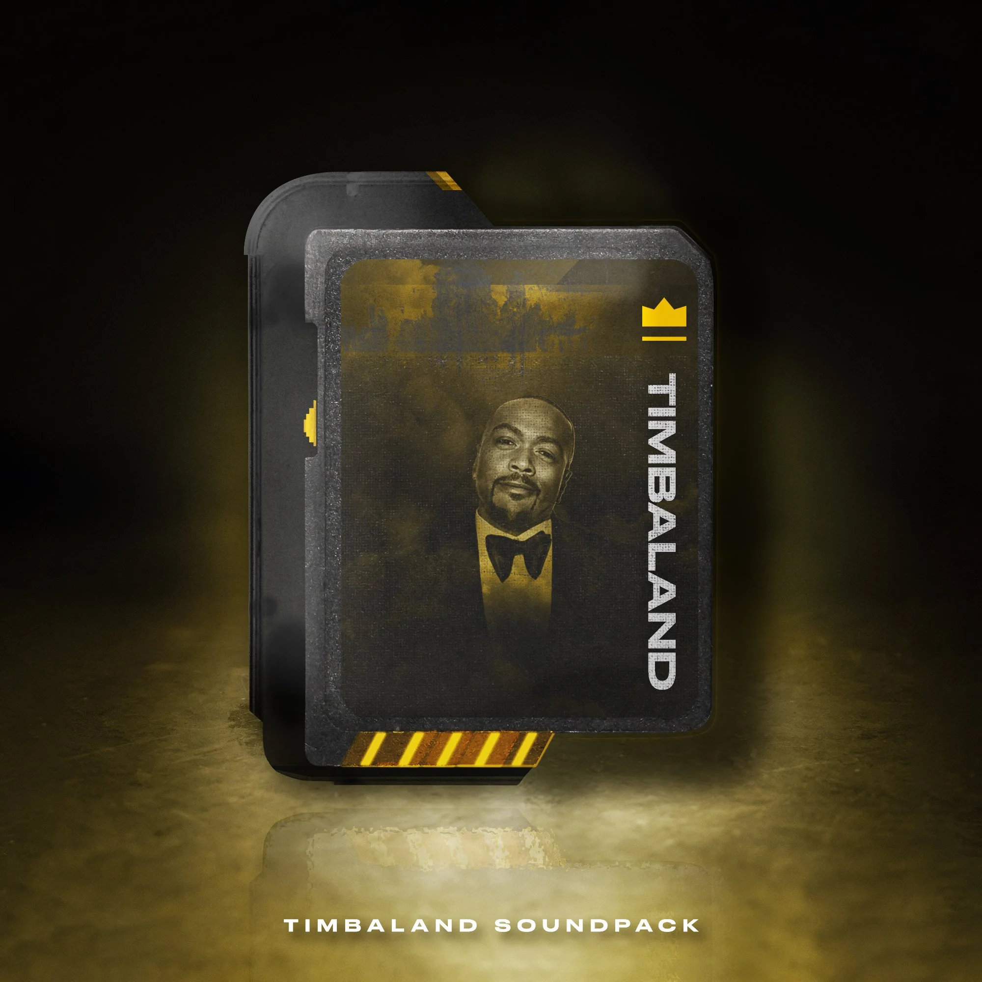 Timbaland SD Card NFT Concept