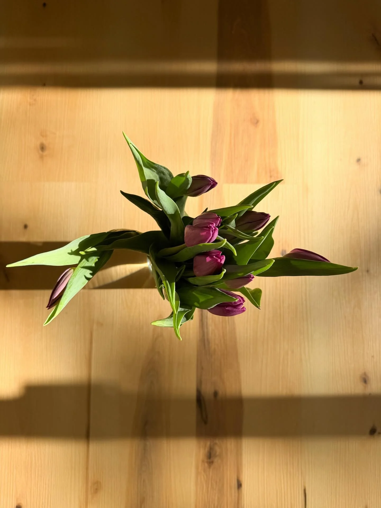 Just coming to you from my sweatpants and sunny office to say I hope we can all give ourselves some true care in the midst of all this is happening. 

Noone receives an award for putting themselves last. Maybe validation from the people and systems t