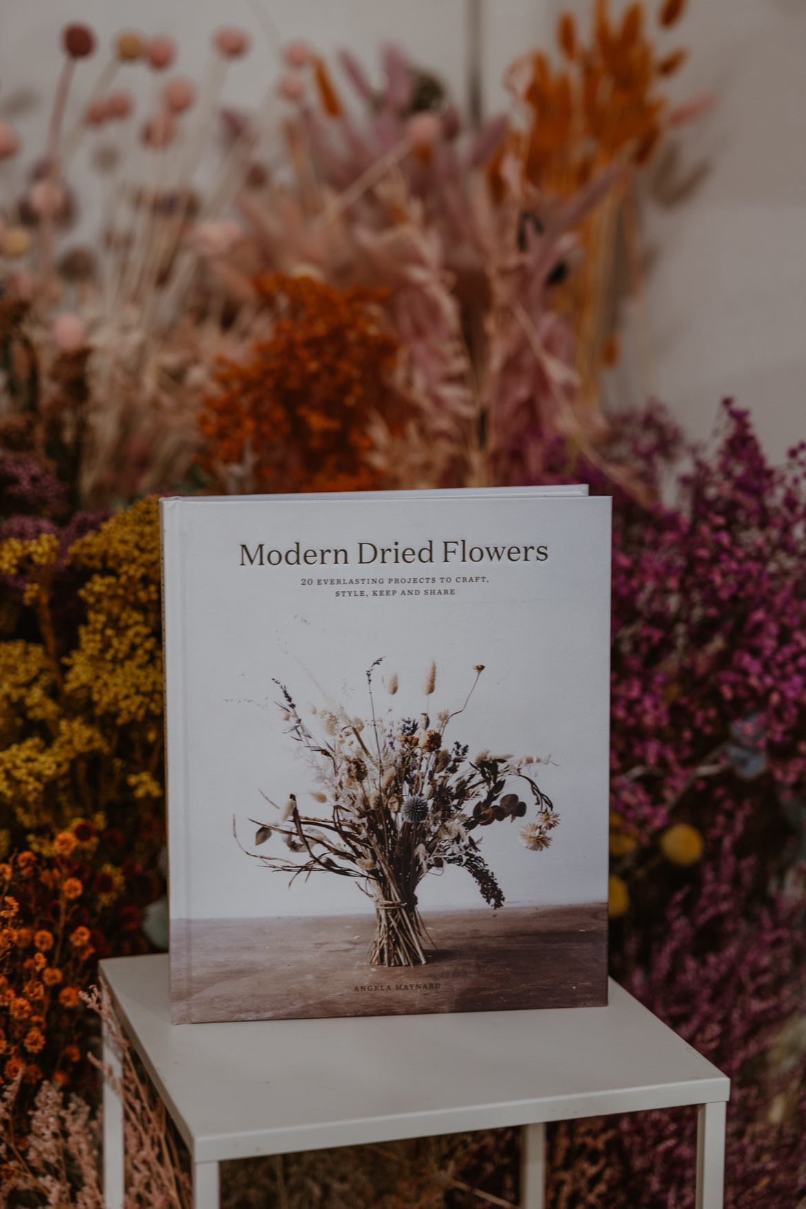 Modern Dried Flowers