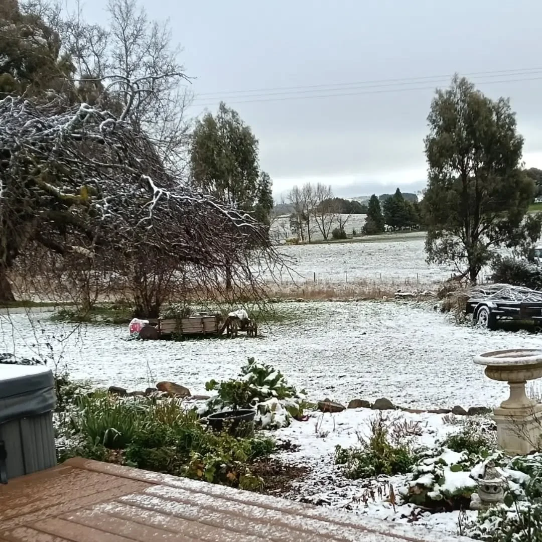 First snow 12th July 2026 &amp; glad that's a Sunday &amp; the studio is not open.
Today I'll be busy feeding all the animals including the 2 poddy lambs &amp; rugging the horses.
Tomorrow lots of orders for the week already and the day will start wi