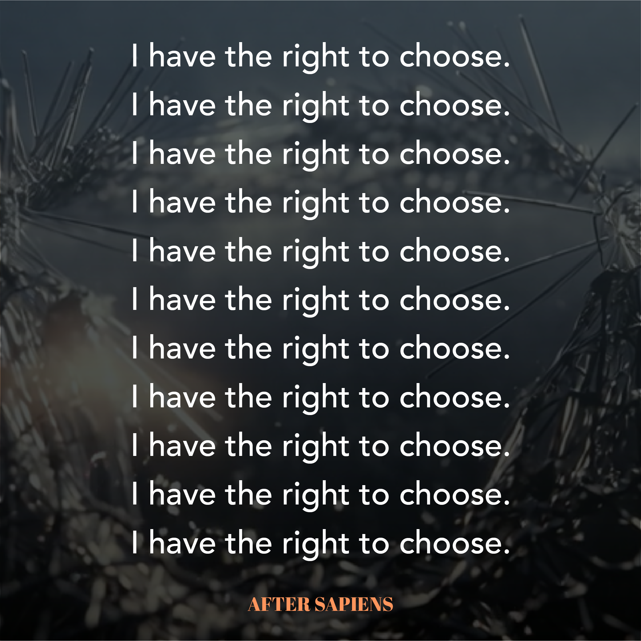 Repeat This to Yourself, Everyday
