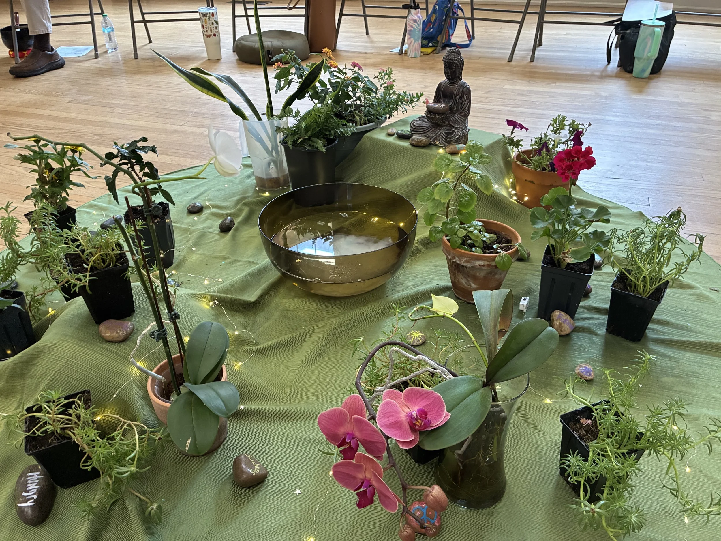 Afternoon of Mindfulness: The Poetry of Peace