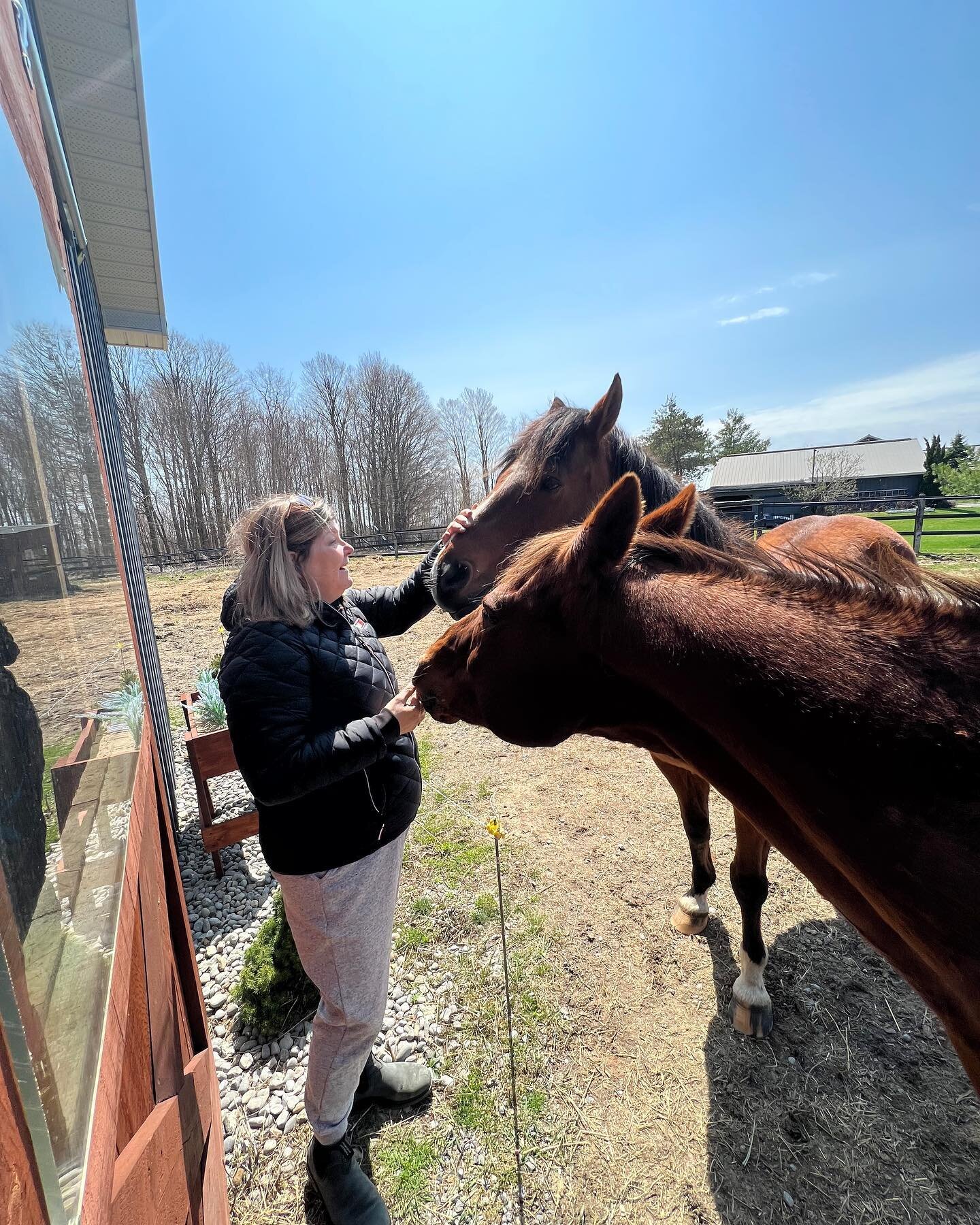 Sunshine and fresh air. I was very fortunate to spend some time at the barn today. Suess and Twister were so excited to get some treats from me along with some cuddles and head rubs

@baileybevan so great to just relax and chat and soak up all the vi