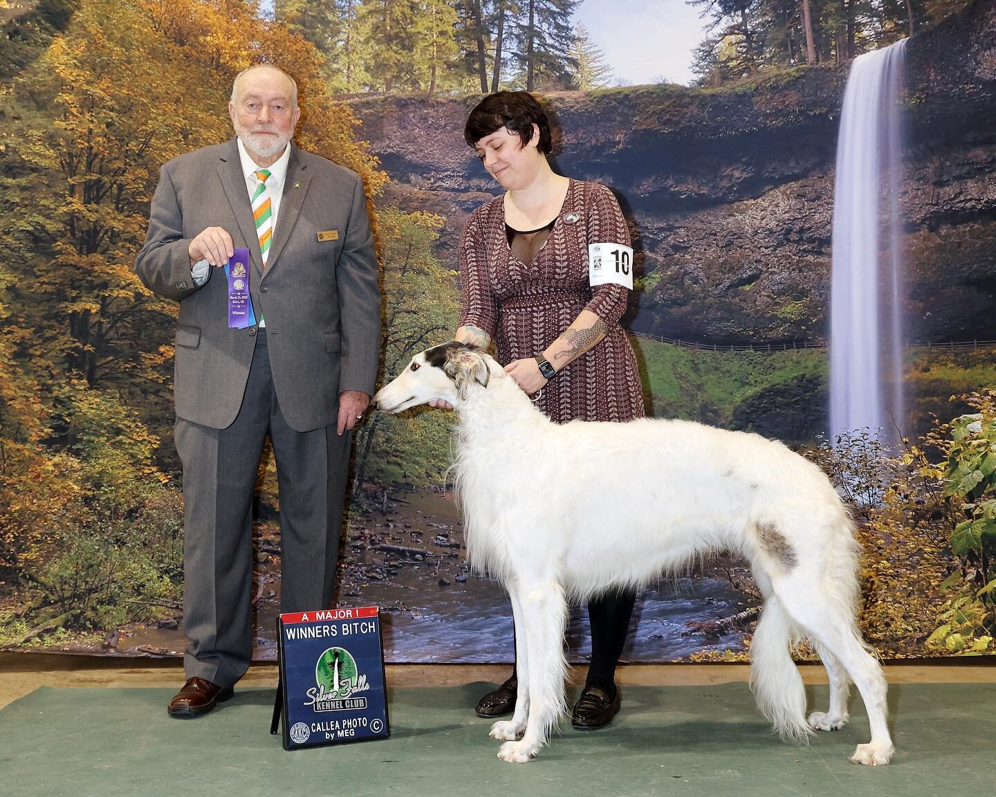 This lovely lady and I had a very good weekend at the Silver Falls Kennel Club. To keep things easy on myself, I have been only entering Fennel in the past couple shows, and it has really given me an opportunity to check in with her and see what she 