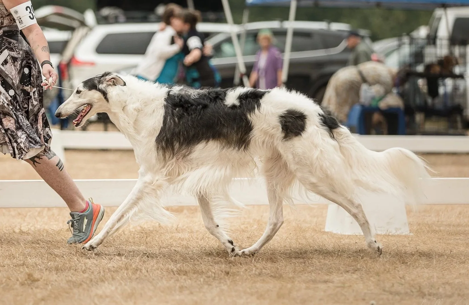 2022 PSBC candids. 4 years old. Photo by Olyhillary.