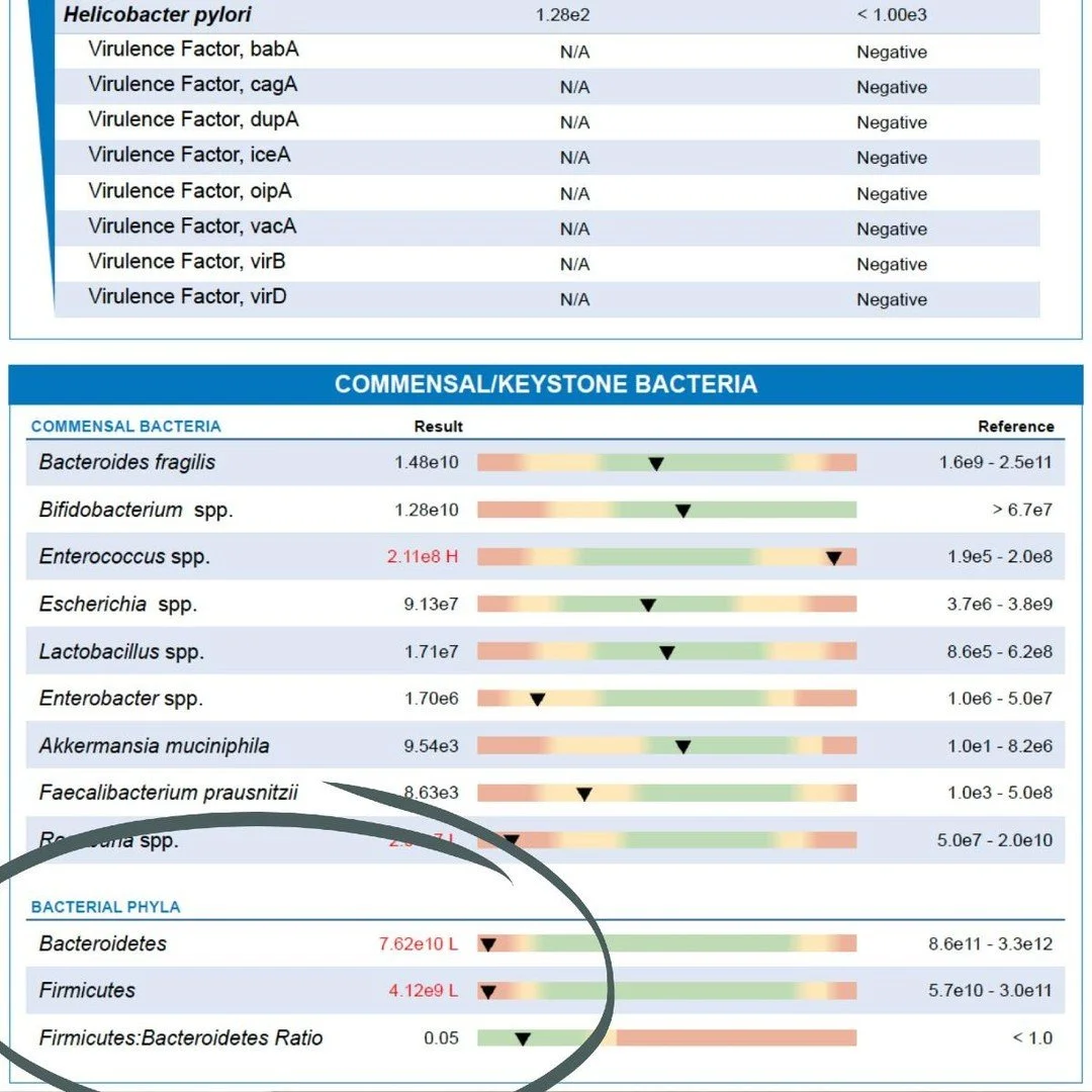 In a healthy gut, there&rsquo;s a mutually beneficial relationship between our body and the bacteria living within it. These bacteria play vital roles in digestion, immune responses, protection against harmful pathogens, energy regulation, and even b
