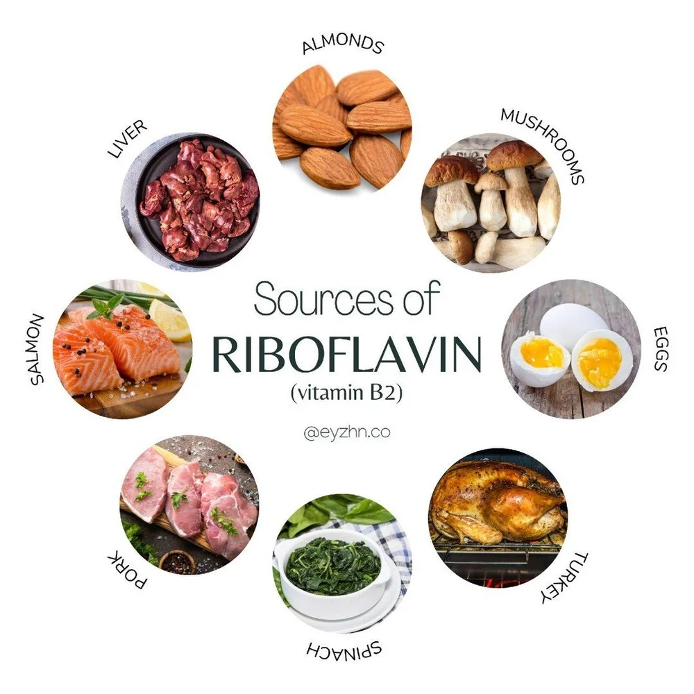Riboflavin (#vitaminB2) is essential for many important functions, such as:

&bull; Energy production ⚡
&bull; Fat metabolism 🧈
&bull; Cellular function and growth 🧬
&bull; Red blood cell formation 🩸
&bull; Eye health 👁️
&bull; Skin health 🧴
&bu