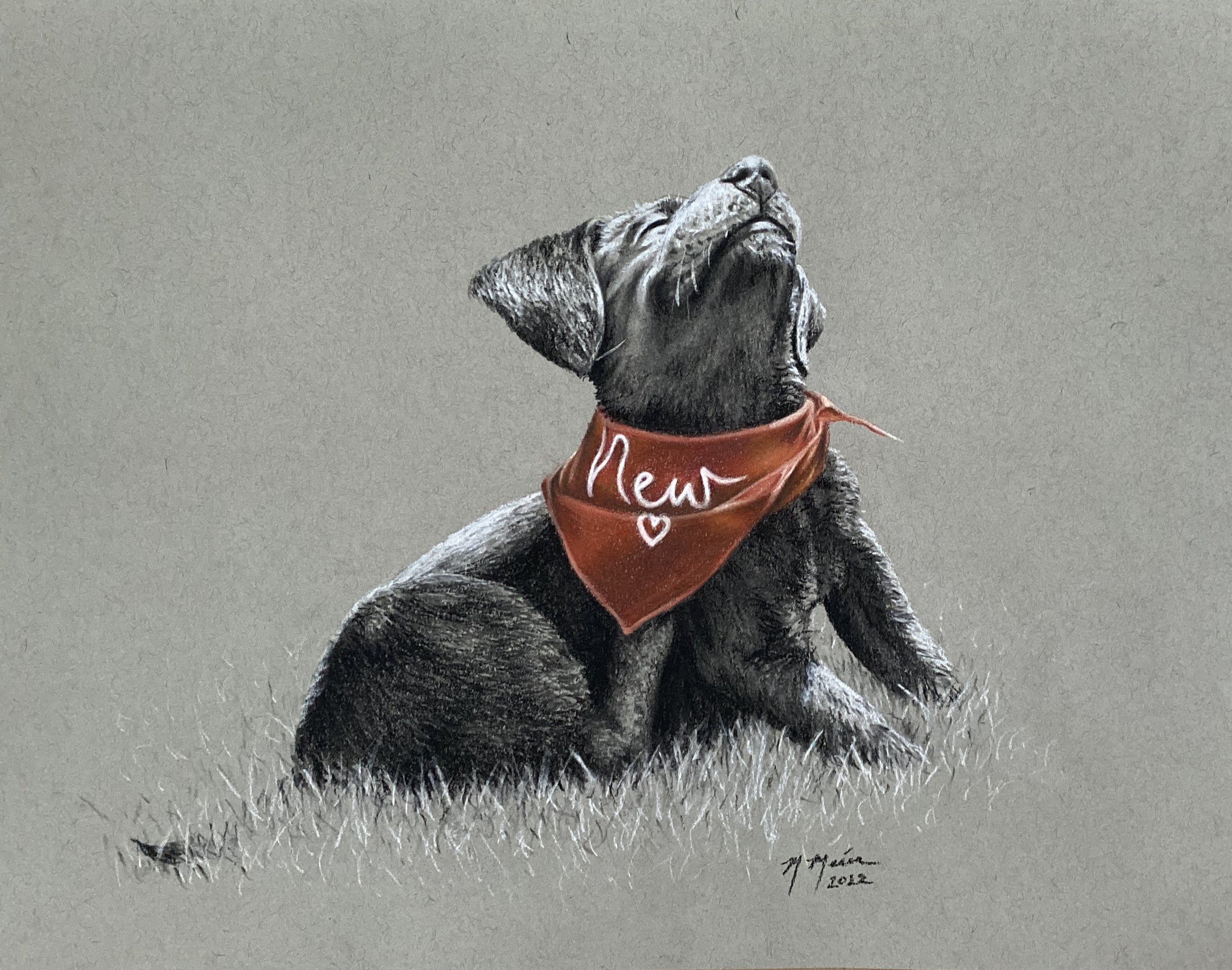 New Addition. Charcoal and chalk pastel on toned gray paper. 2022