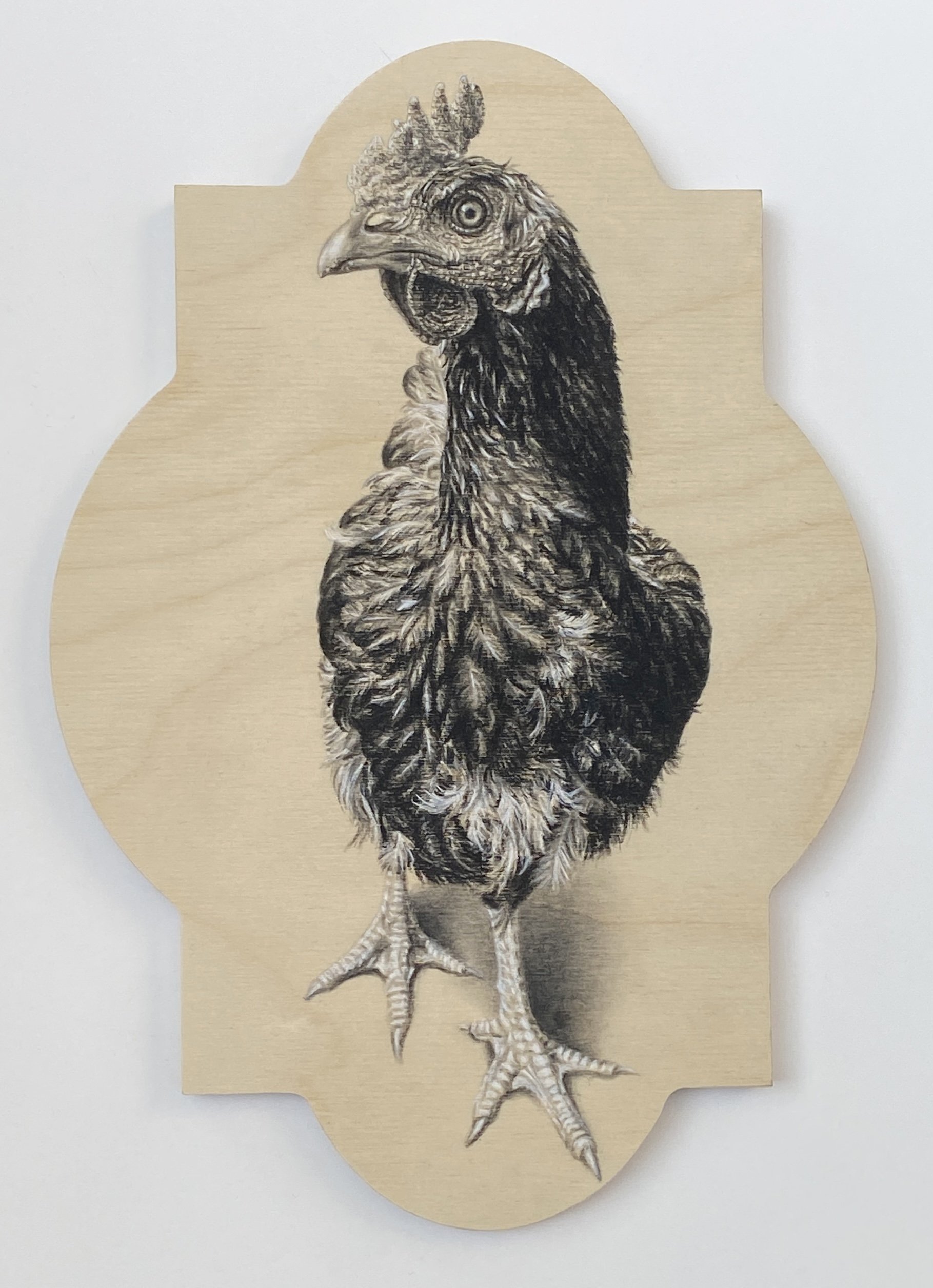 Charcoal Hen on Wooden Panel