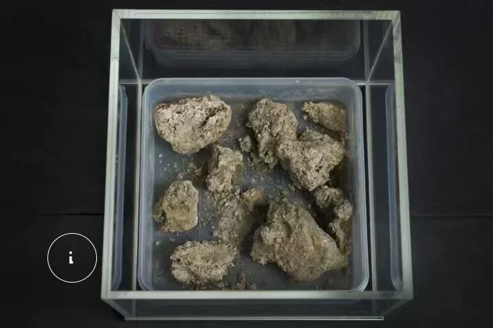 Weixin Image_20260305173704_3168_6.jpg