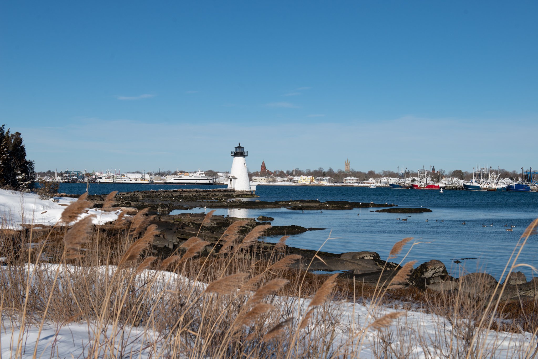 Port New bedford.jpg