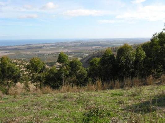 View from Louds Hill Road