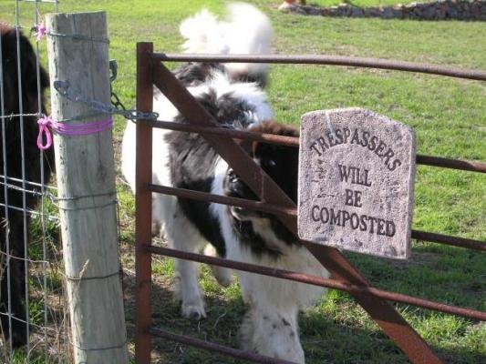 Hazards on the trail