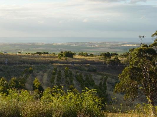 Willunga Hill view, January 03