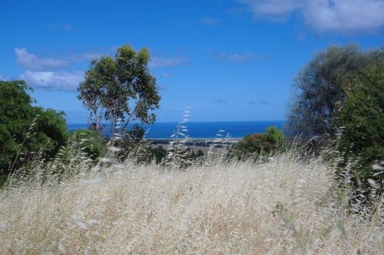 Hiking Trail view