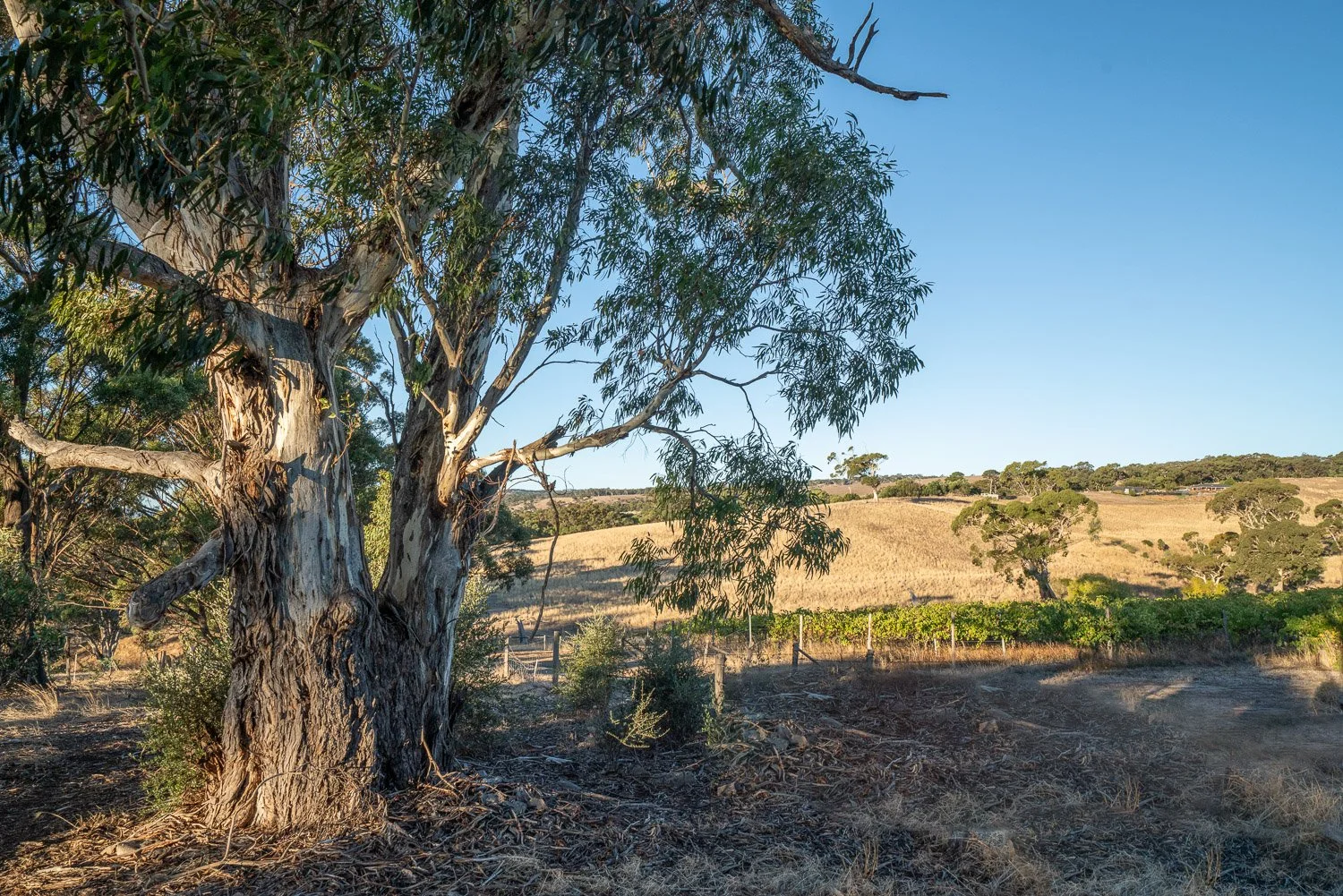 February 2026 News Update