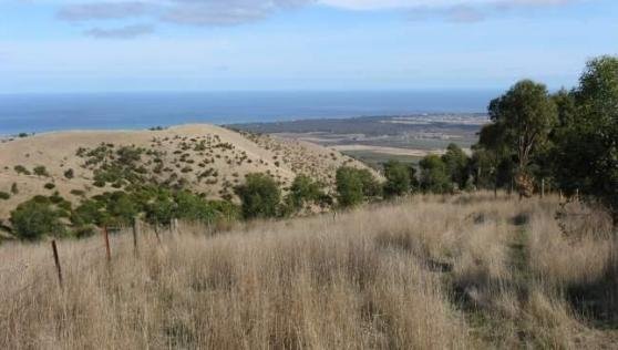 The Willunga Basin Trail