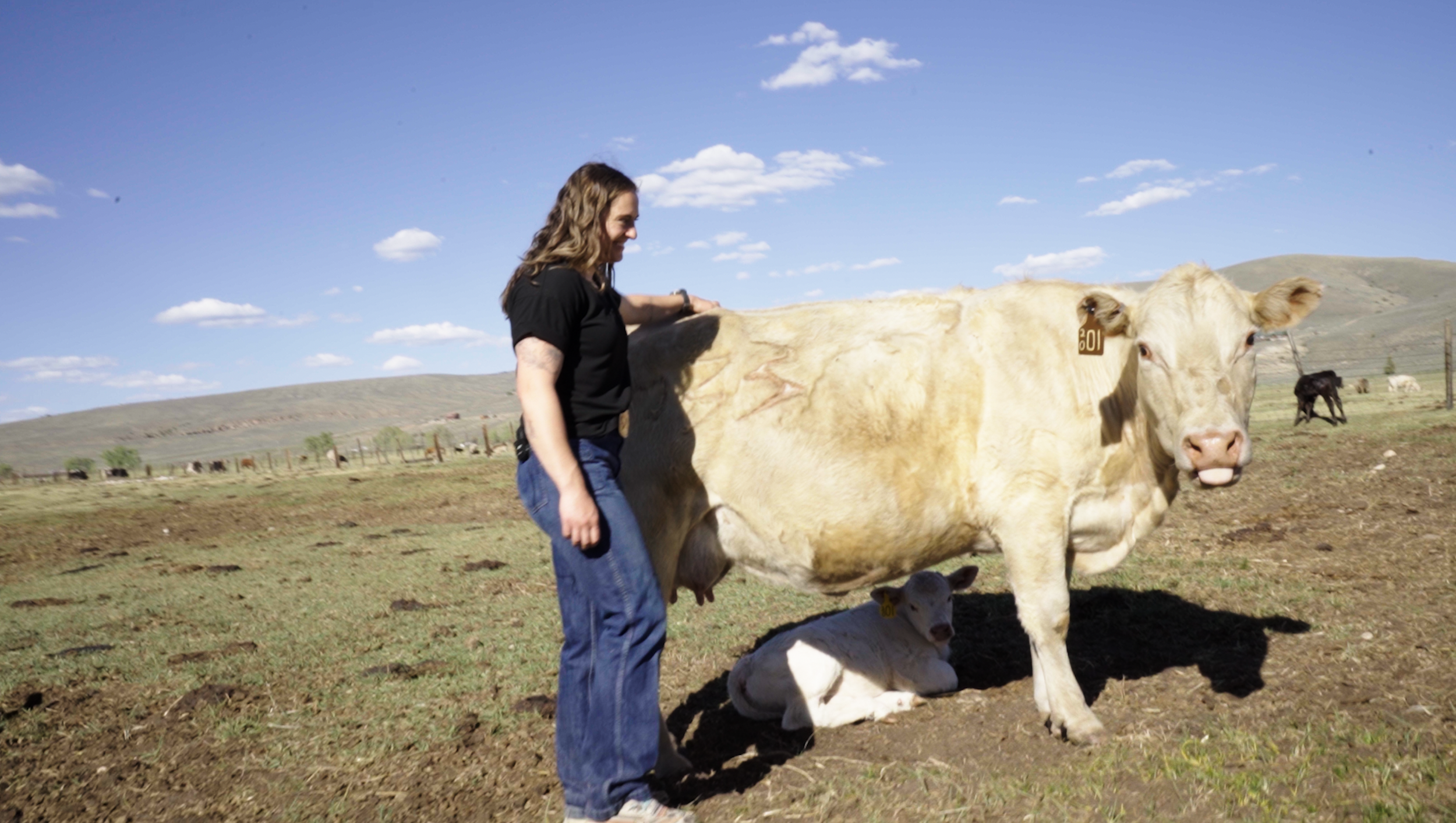 A work in progress about ranching in the Gunnison Valley through drought.