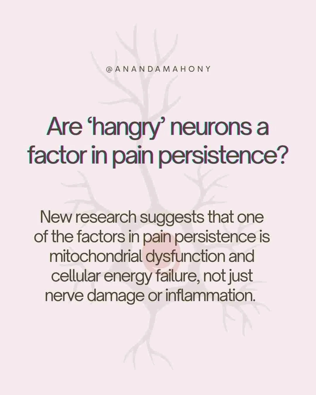 &lsquo;Hangry&rsquo; neurons might be a factor in pain persistence!

A recent paper caught my attention examining sensory neurons in the dorsal root ganglia (DRG) and their relationship with satellite glial cells (SGCs), which are part of the immune 