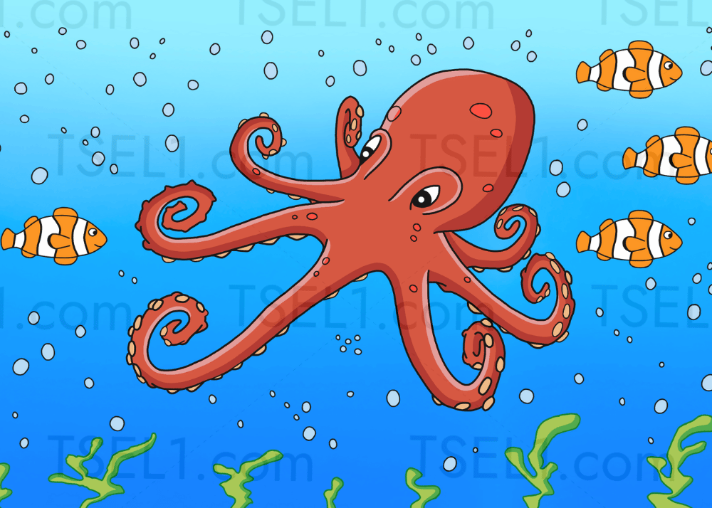Giant Pacific Octopus 7x5.png