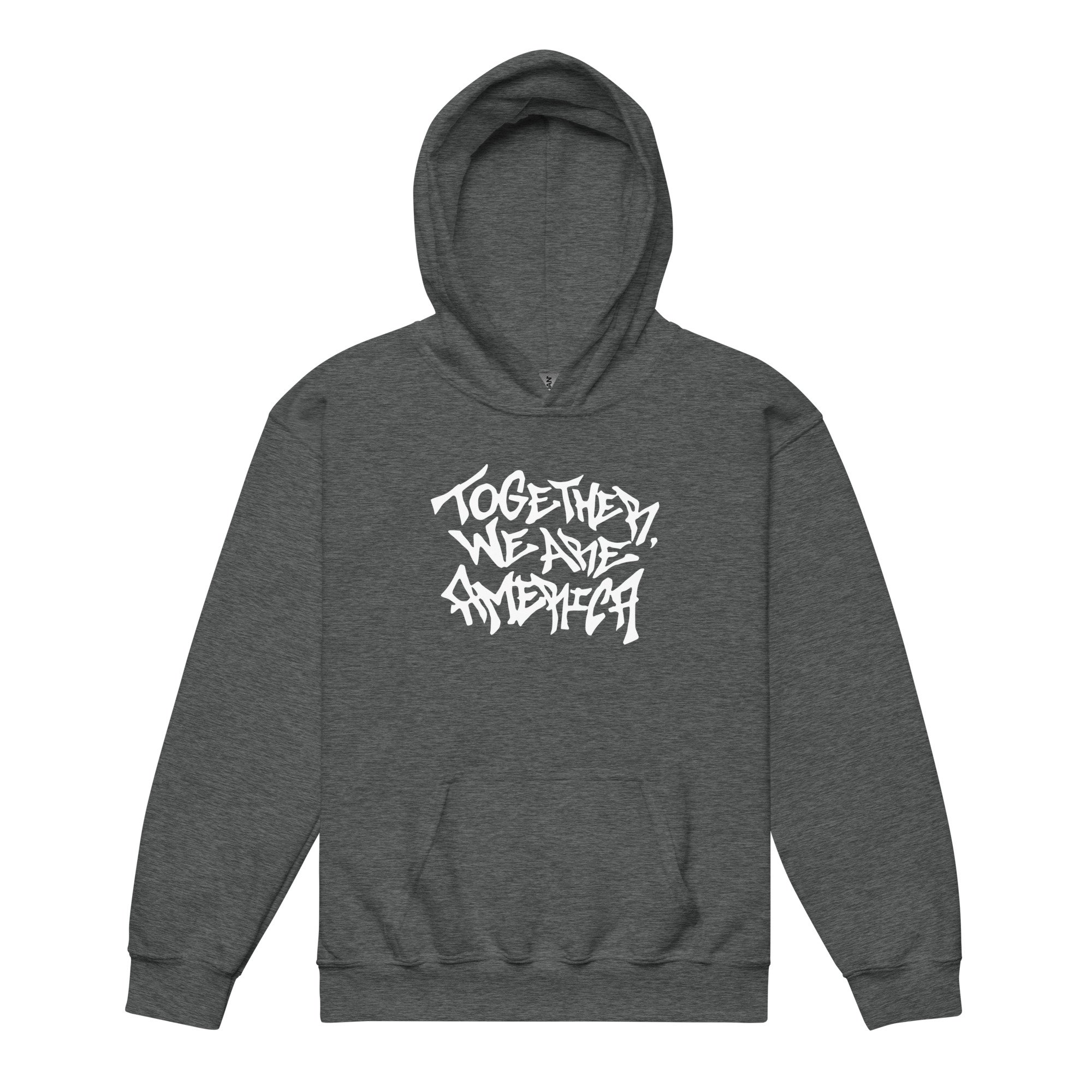 youth-heavy-blend-hoodie-dark-heather-front-69c95f00062ba.jpg