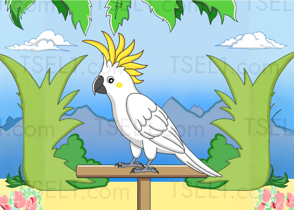Sulphur-crested Cockatoo 7x5.png