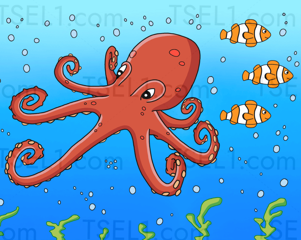 Giant Pacific Octopus 10x8.png