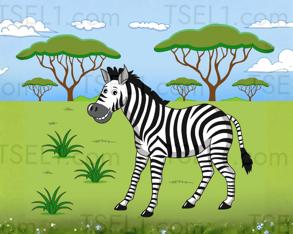 Plains Zebra 10x8.png
