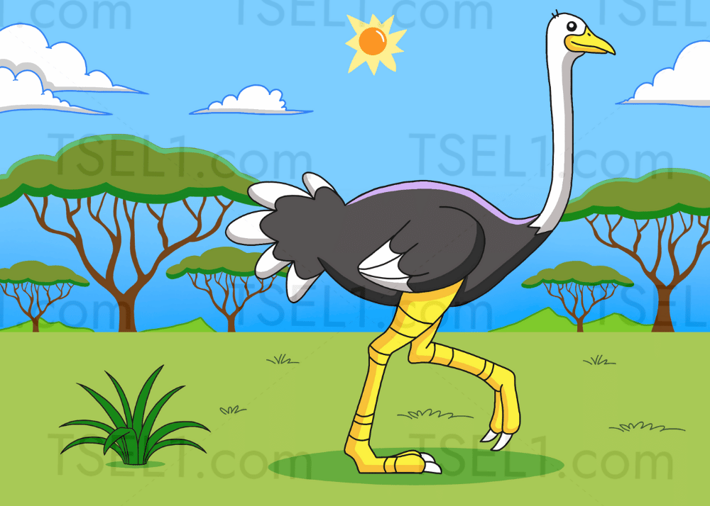 Ostrich 7x5.png