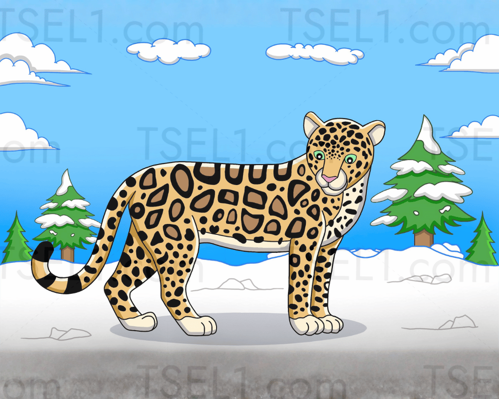 Amur Leopard 10x8.png