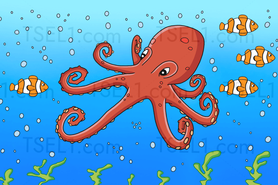 Giant Pacific Octopus 6x4.png