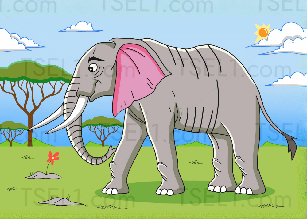 African Bush Elephant 7x5.png