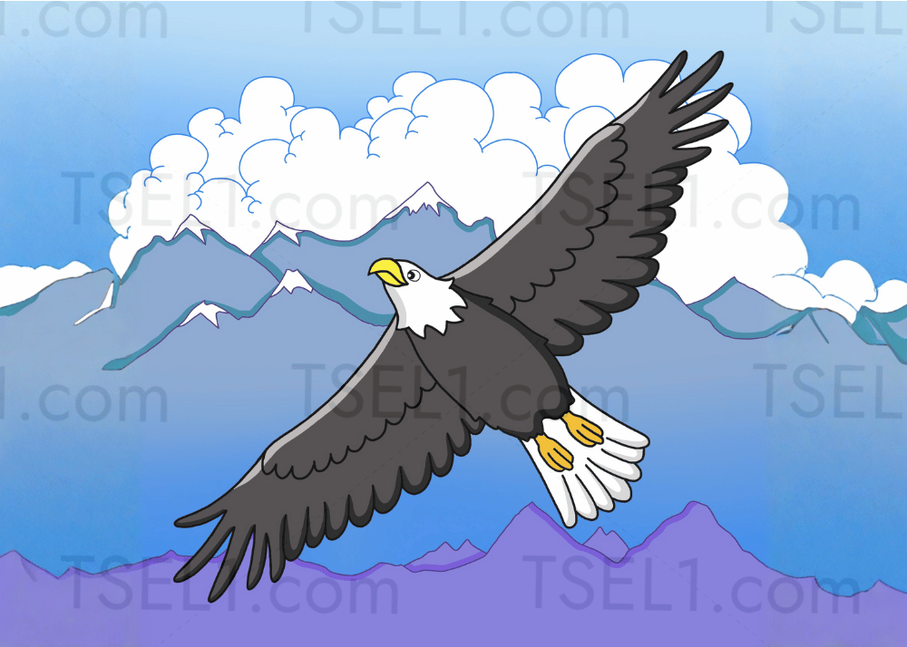 Bald Eagle 7x5.png