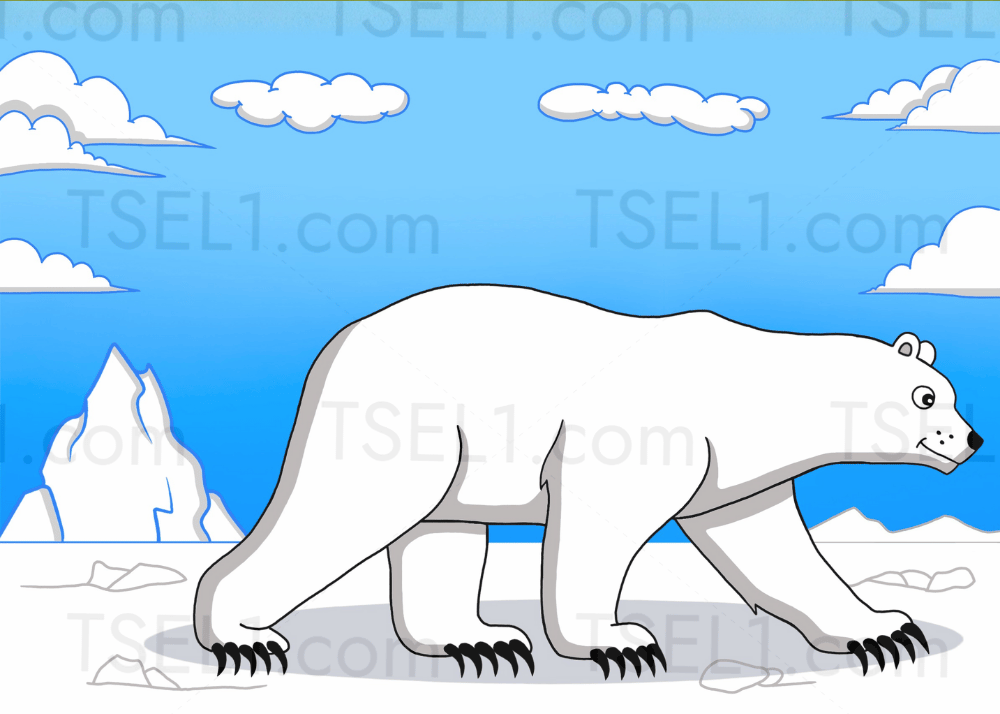 Polar Bear 7x5.png
