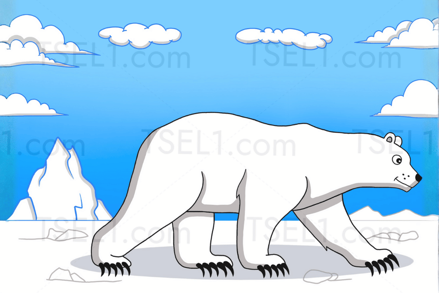 Polar Bear 6x4.png