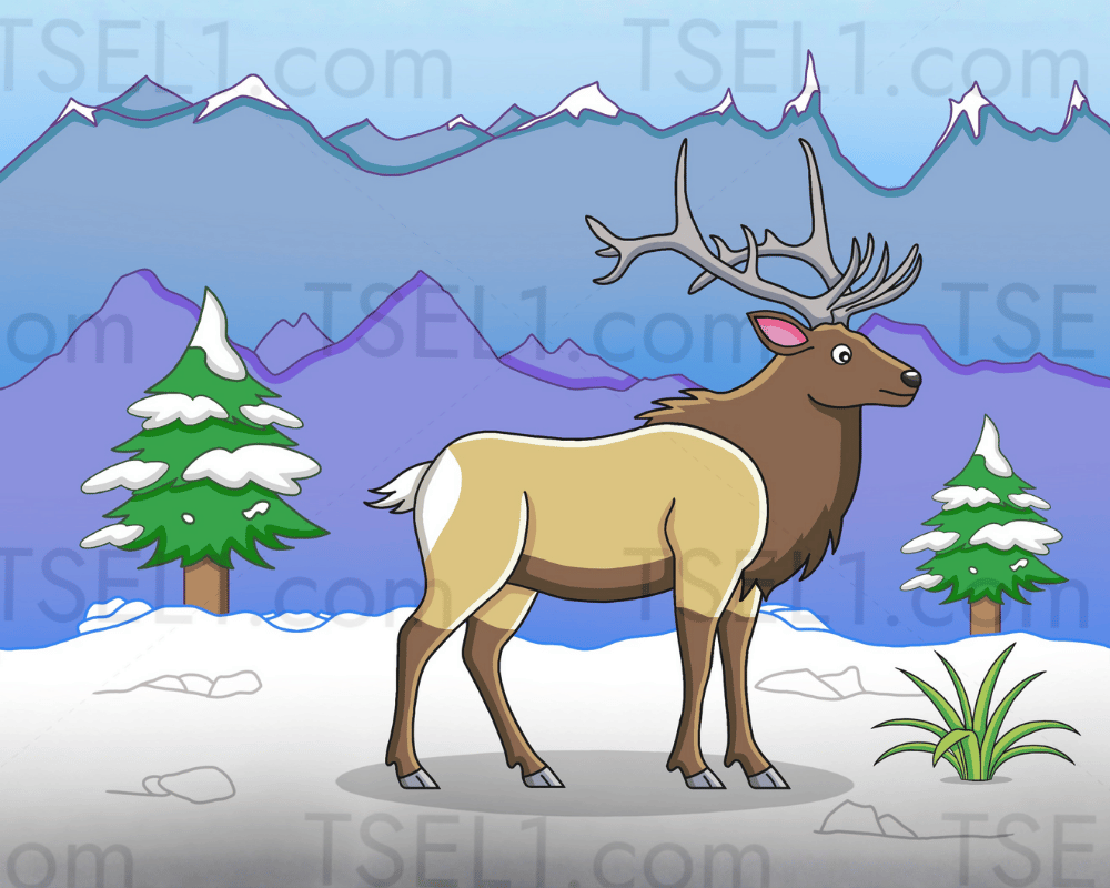 American Elk 10x8.png