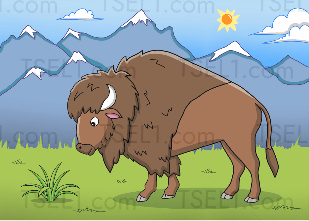 Plains Bison 7x5.png