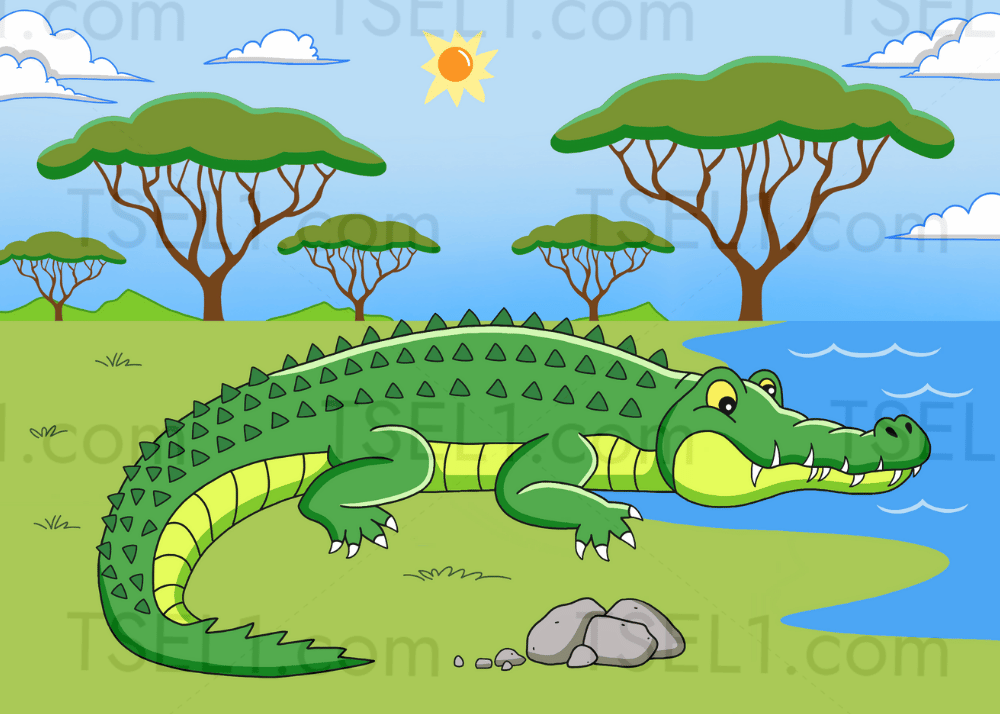 Nile Crocodile 7x5.png