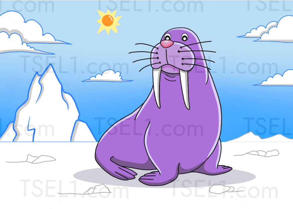 Walrus 7x5.png