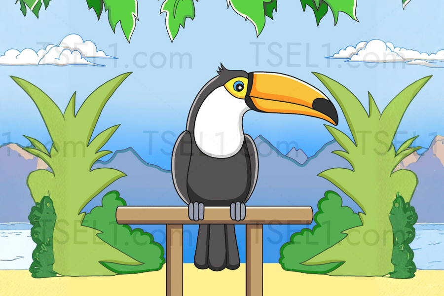 Toco Toucan 6x4.png