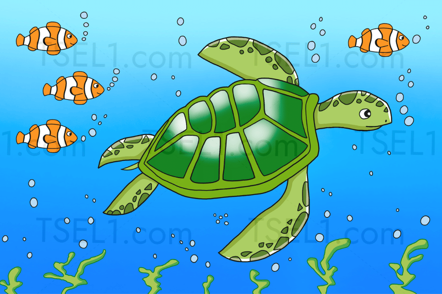 Green Sea Turtle 6x4.png