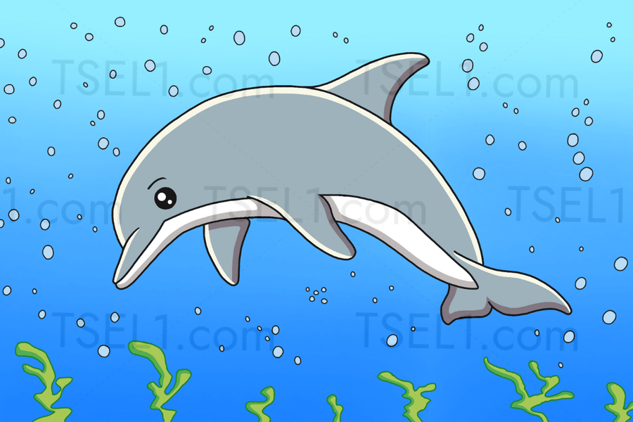 Bottlenose Dolphin 6x4.png